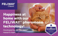 FELIWAY Classic 3 x 30 Day Cat Calming Odourless Refills for Pheromone Diffuser, 3 x 48ml - Helps Solve Common Signs of Stress in Cats & Kittens, Veterinary Recommended, Drug-free, Clinically Proven