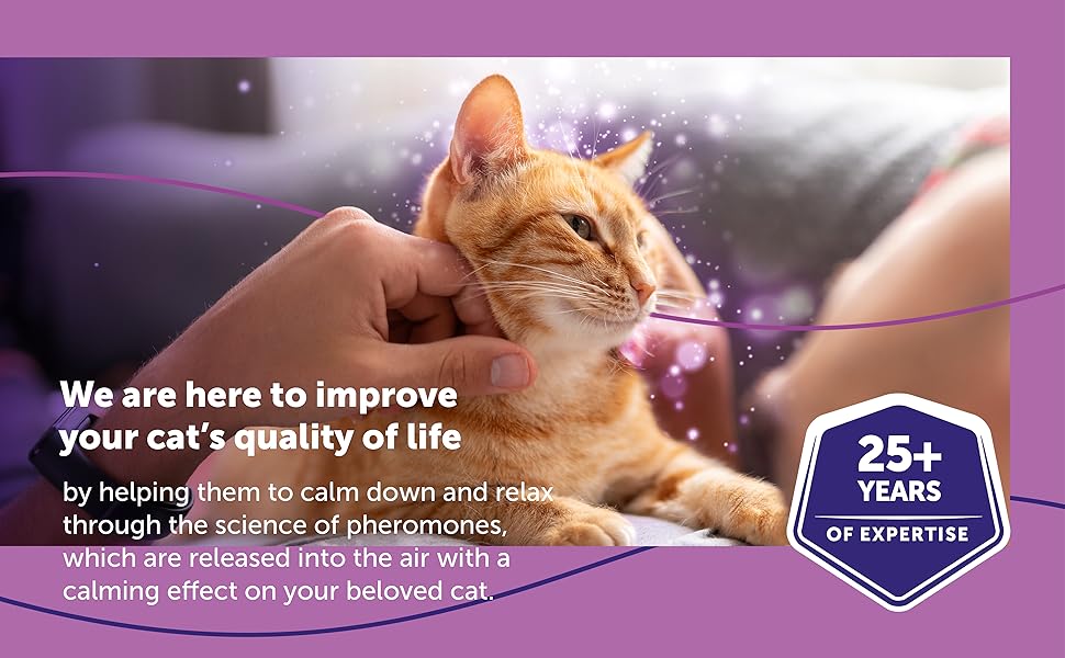FELIWAY Classic 3 x 30 Day Cat Calming Odourless Refills for Pheromone Diffuser, 3 x 48ml - Helps Solve Common Signs of Stress in Cats & Kittens, Veterinary Recommended, Drug-free, Clinically Proven